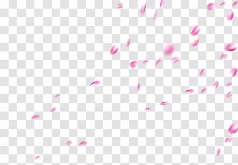 Petal Pink Clip Art - Texture - Falling Petals Transparent PNG