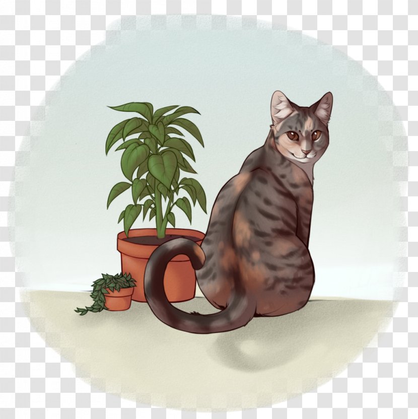 Tabby Cat Kitten Whiskers Flowerpot Transparent PNG