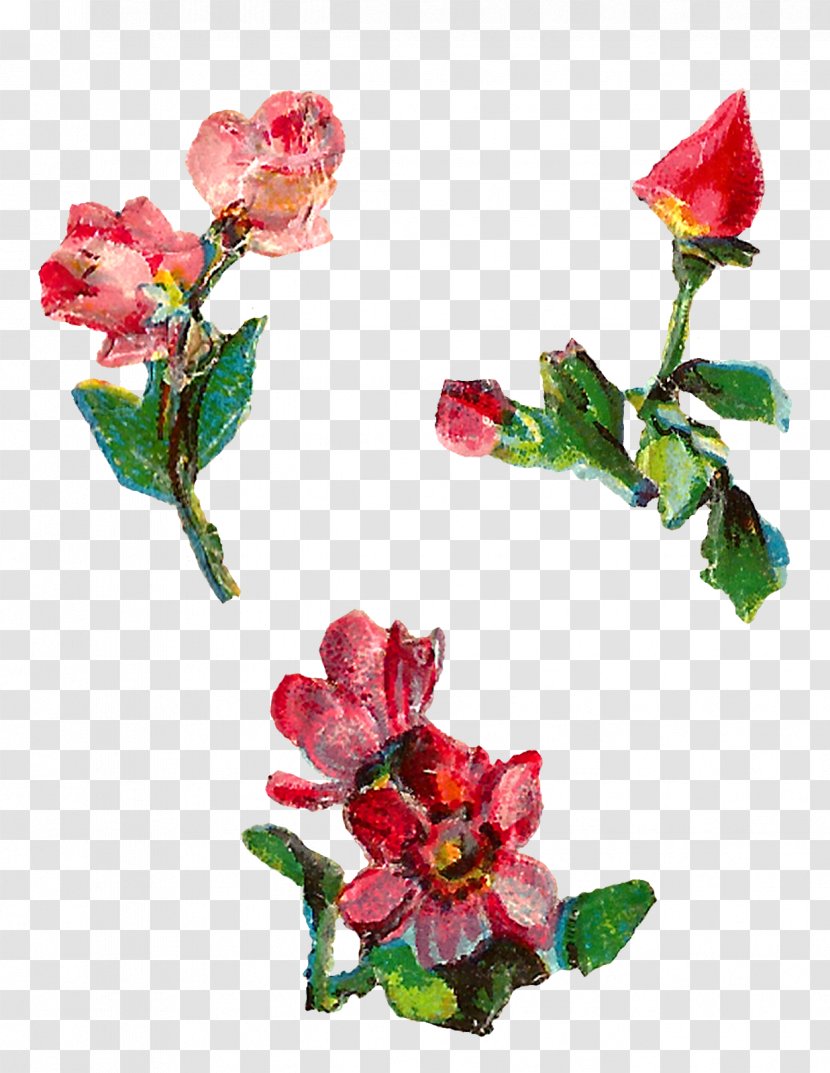 Garden Roses Floral Design Artificial Flower - Cut Flowers Transparent PNG