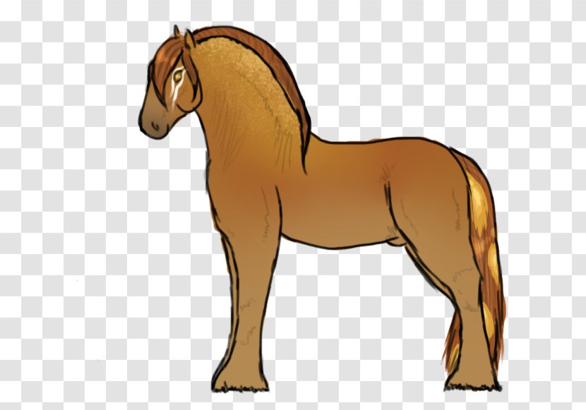 Mane Foal Stallion Mustang Mare Transparent PNG