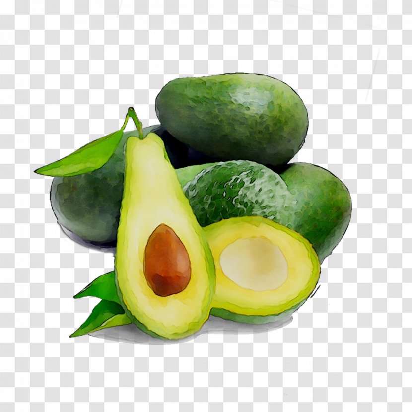Avocado Superfood Vegetable Diet Food - Ingredient Transparent PNG