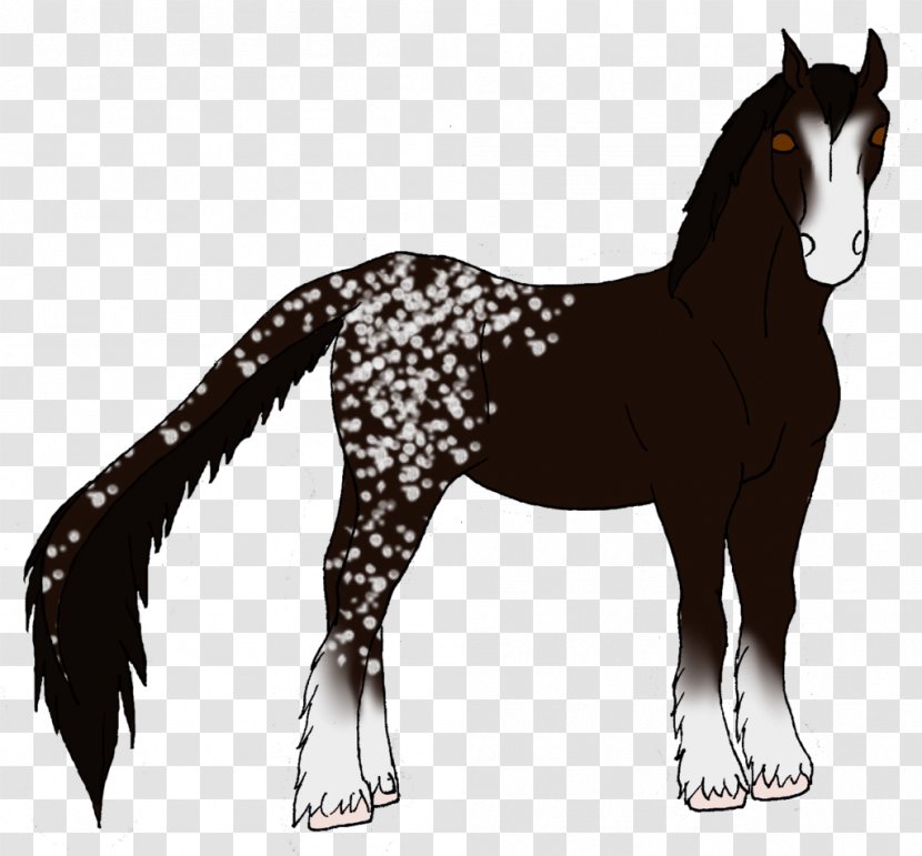 Mustang Foal Stallion Colt Mare - Horse - Sheep Breeders Transparent PNG