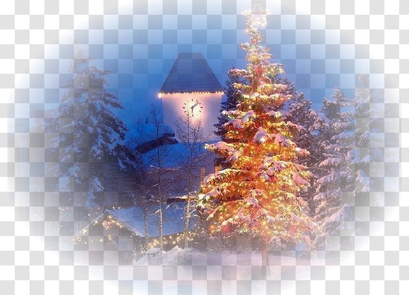 Christmas Tree Card New Year Holiday - Fir Transparent PNG