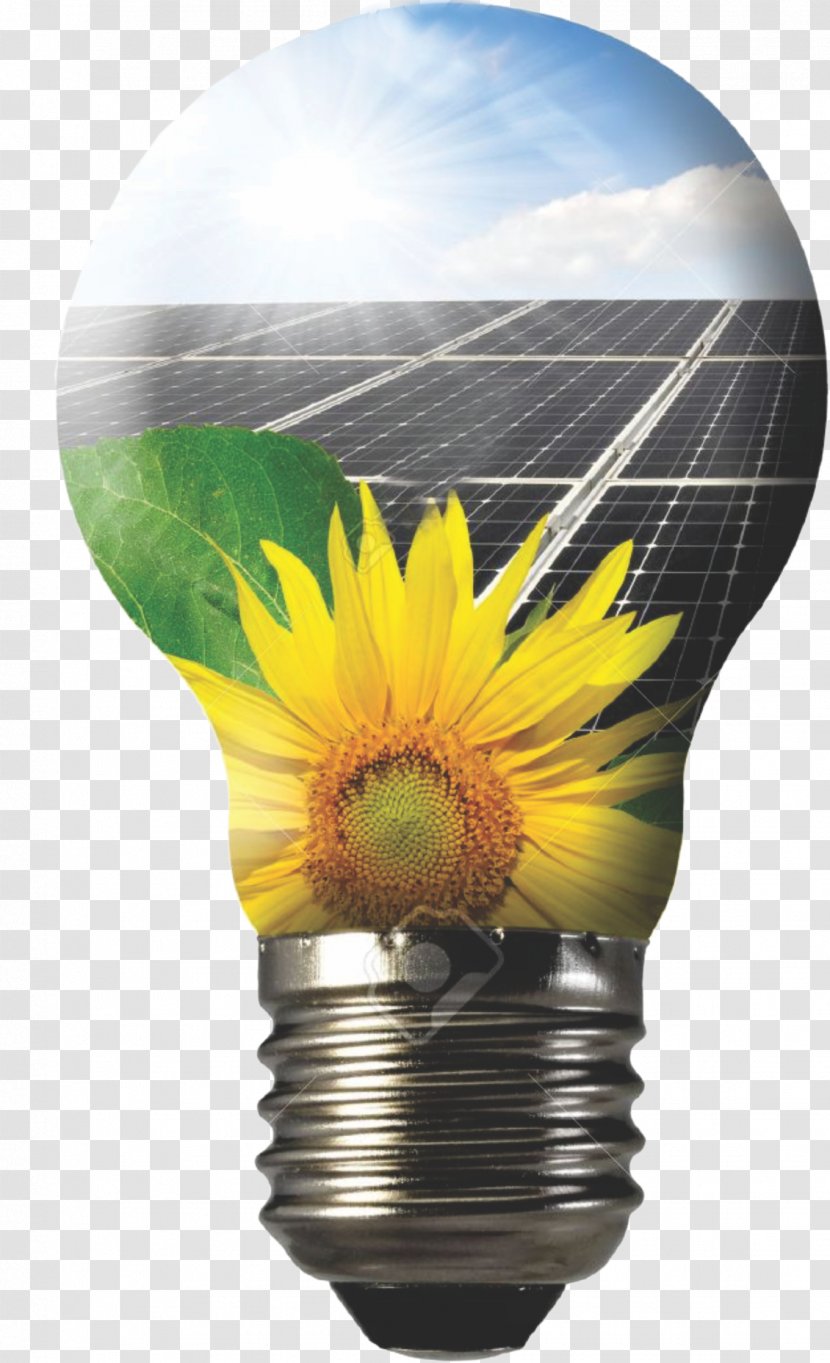 Solar Panels Energy Photovoltaic Power Station Photovoltaics - Flowerpot Transparent PNG