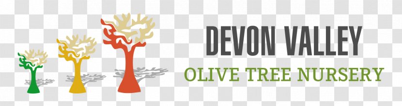 Logo Tree Olive Oil Brand - Pruning - Harvest Transparent PNG