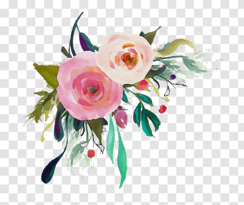 Watercolor Background Frame - Garden Roses - Camellia Flower Arranging Transparent PNG