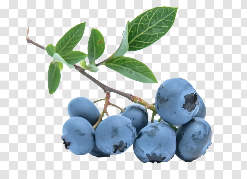 Ice Cream Muesli Bilberry European Blueberry - Eating - Blueberries Transparent PNG
