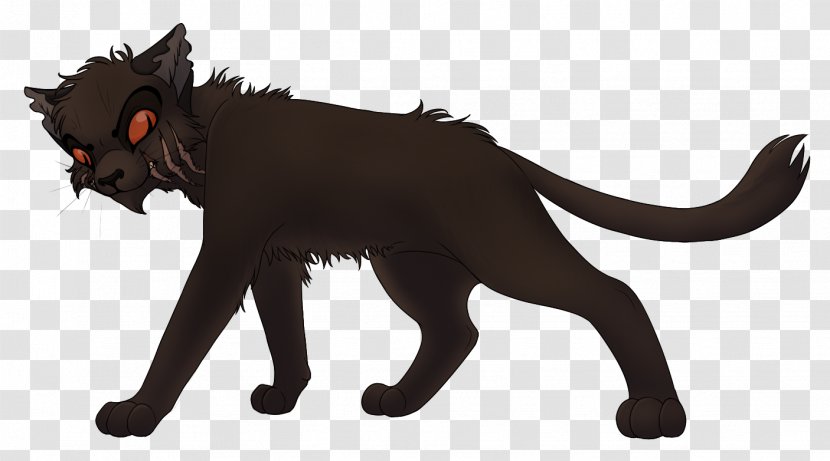 Black Cat Whiskers Work Of Art - Warriors Transparent PNG