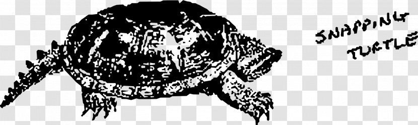 Common Snapping Turtle Drawing Clip Art - Flower Transparent PNG