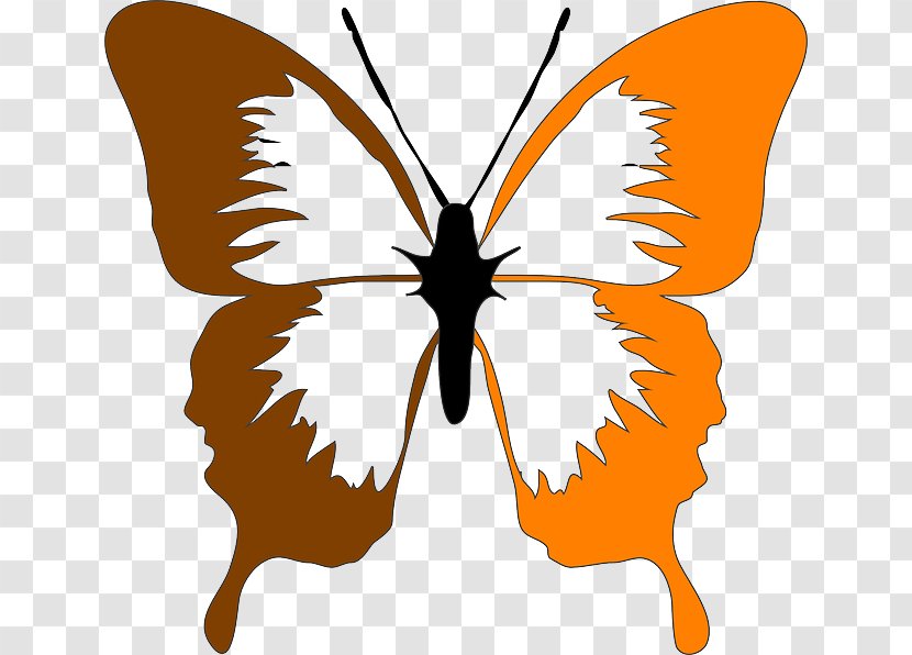 Butterfly Clip Art Image Vector Graphics Drawing - Brush Footed Transparent PNG