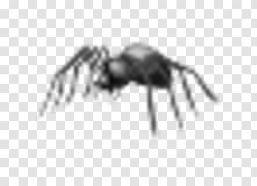 Insect Arachnid Technology Pest - Black And White Transparent PNG