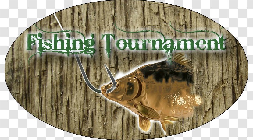 Xbox 360 Game Computer Wii Angling - Fishing Tournament Transparent PNG