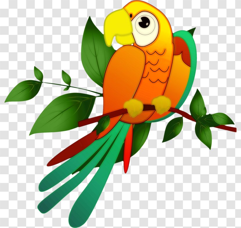 Macaw Bird In The Tree Parakeet Clip Art - Vertebrate Transparent PNG