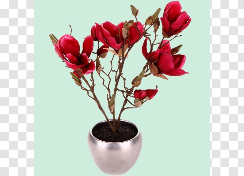Magnolia Flowerpot Houseplant - Twig - Brush Pot Transparent PNG