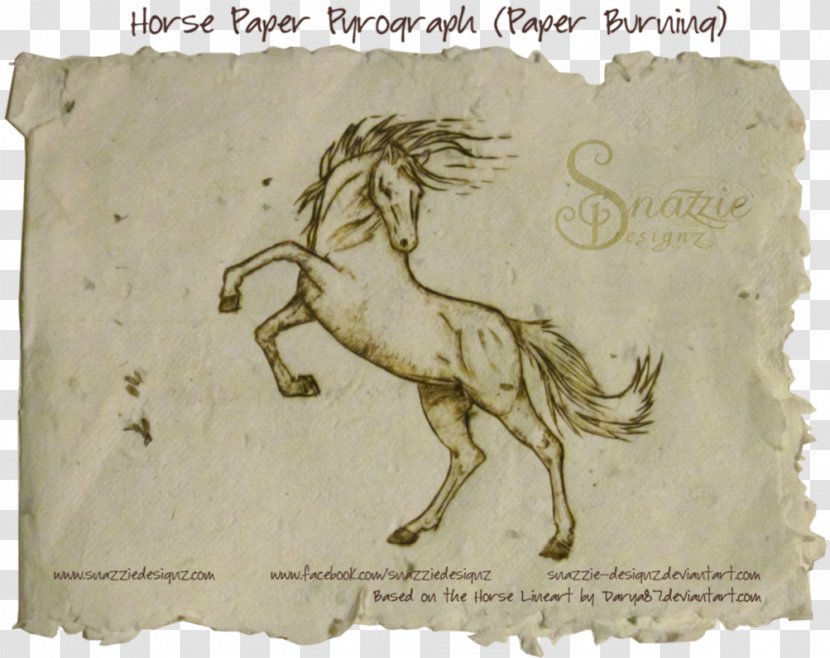 Mustang Essay Equestrian Doma Gentile Horse Welfare - Paper Transparent PNG