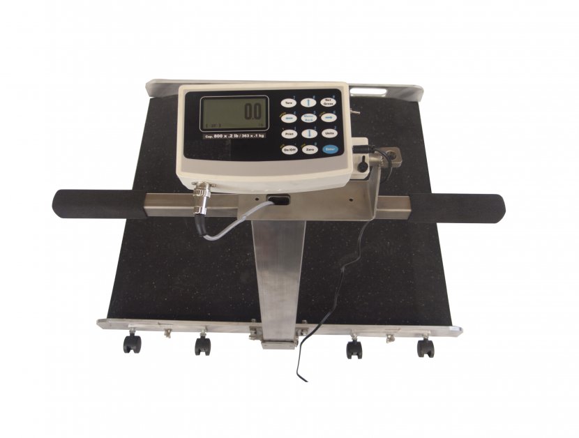 Wheelchair Jewish People Old Age Accessibility Measuring Scales - Nursing Home Care - Weighing Scale Transparent PNG