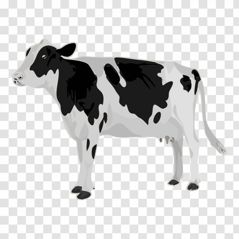 Holstein Friesian Cattle Patz Corporation Dairy Calf Teat - Child - Ribbon Transparent PNG