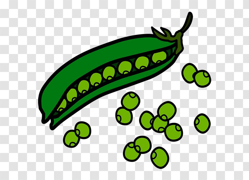 Pea Clip Art Openclipart Vector Graphics Green Bean - Blackeyed Transparent PNG