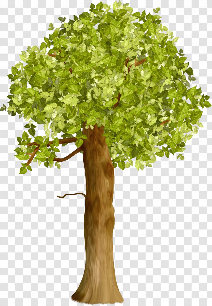 Trunk Tree Crown Branch Clip Art - Houseplant Transparent PNG
