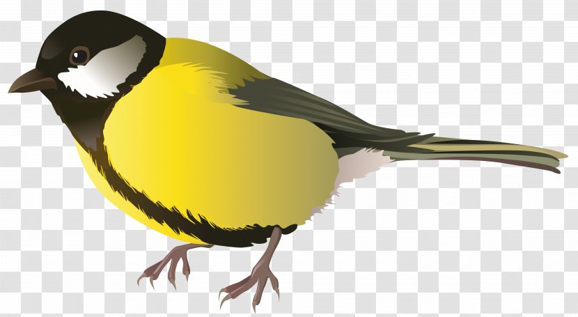 Bird Parrot Clip Art - Perching - Yellow Clipart Image Transparent PNG