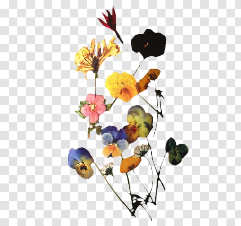 Flowers Background - Plant Stem - Wildflower Branch Transparent PNG