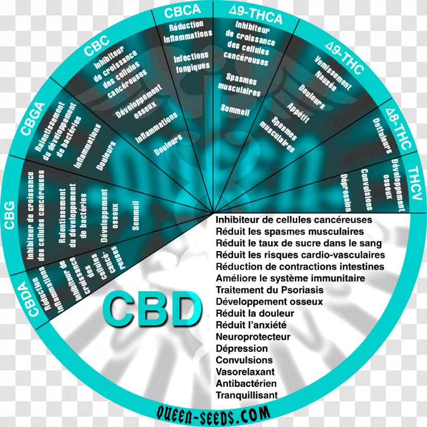 Cannabidiol Psychoactive Drug Tetrahydrocannabinol Therapy Cancer - Watercolor Transparent PNG