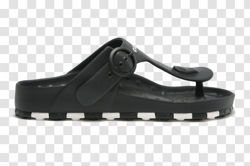 Sandal Shoe - Footwear Transparent PNG