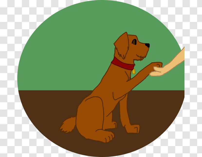 Dog Breed Puppy Sporting Group Retriever Transparent PNG