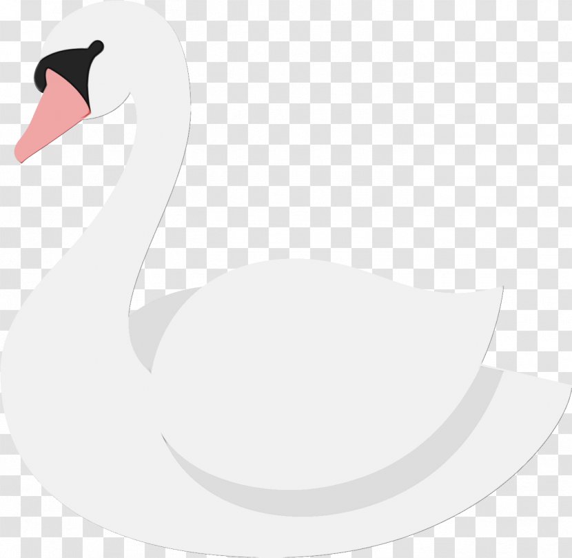 Swan Bird Ducks, Geese And Swans Water Waterfowl - Black Duck Transparent PNG