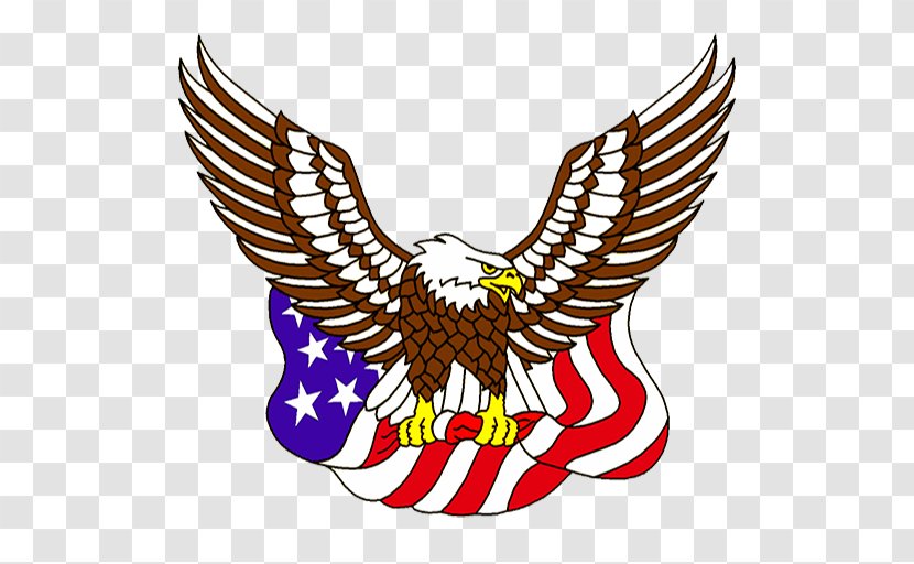 United States Of America Bald Eagle Flag The Clip Art - Artwork Transparent PNG