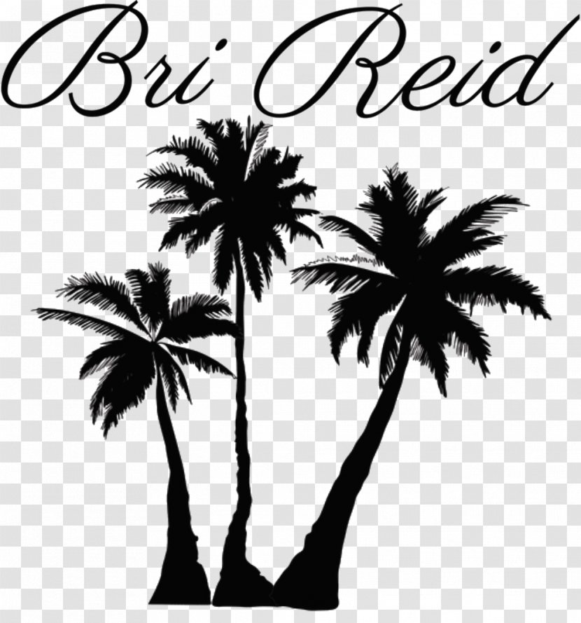 Clip Art Palm Trees Coconut Illustration - Elaeis Transparent PNG