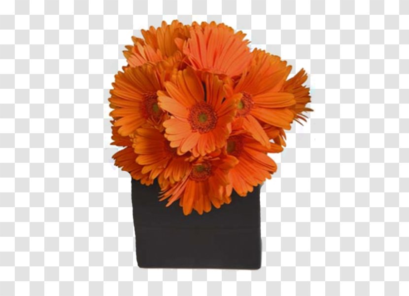 Transvaal Daisy Floral Design Flower Bouquet Cut Flowers - Arranging Transparent PNG