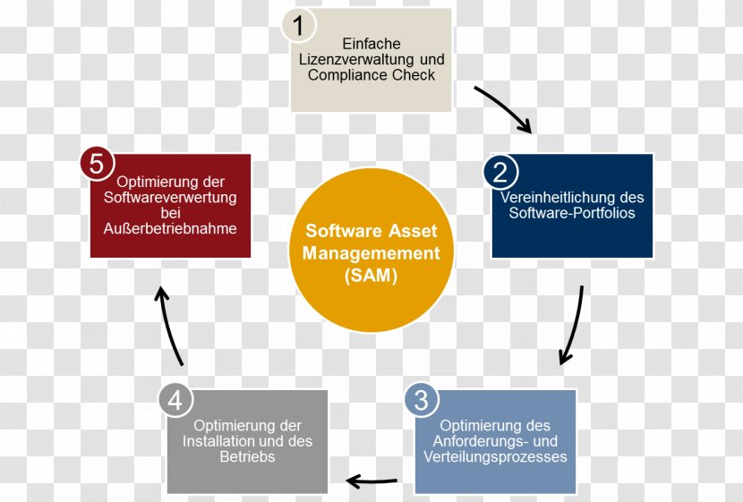 Software Asset Management Organization Computer License - Microsoft - Zen Circle Transparent PNG