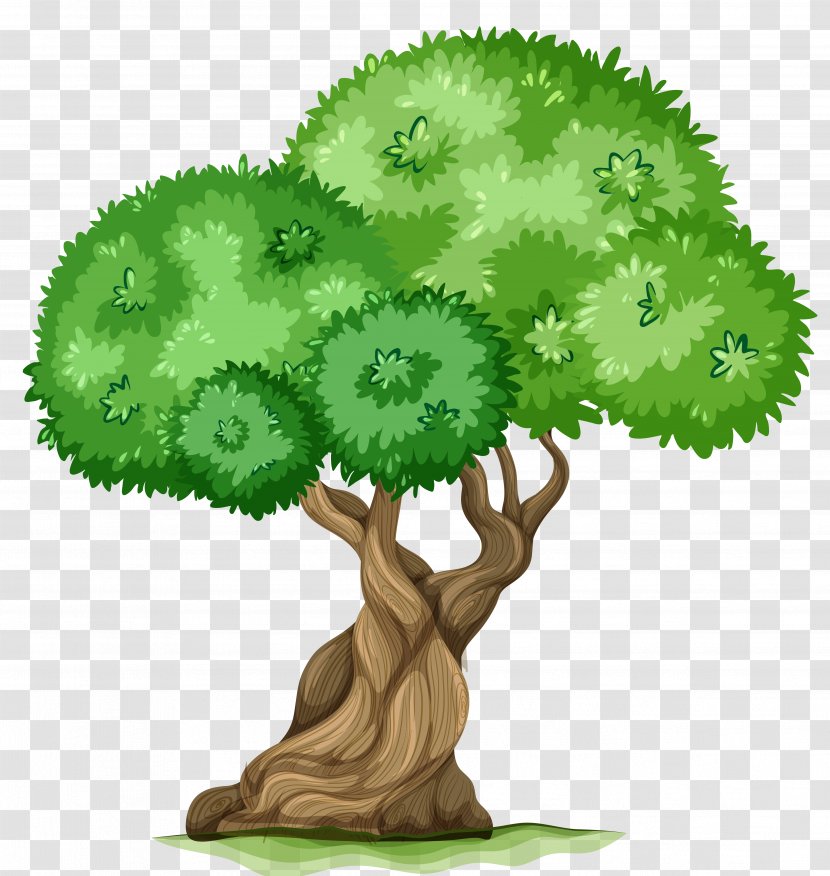 Fishing Stock Photography Clip Art - Woody Plant - Tree Clipart Picture Transparent PNG