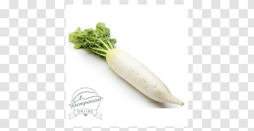 Chinese Cuisine Daikon Cải Củ Broccoli Vegetable - Radishes Transparent PNG