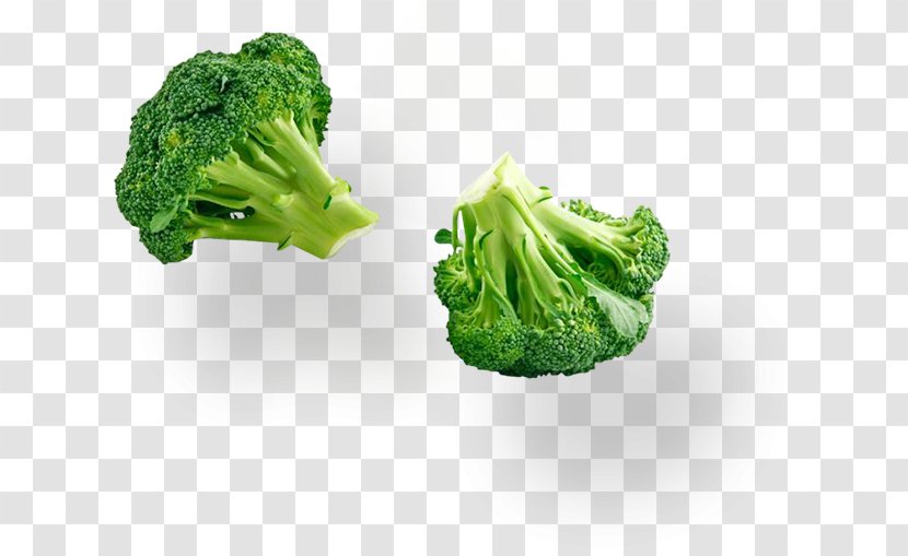 Broccoli Organic Food Soybean Sprout Cruciferous Vegetables Transparent PNG