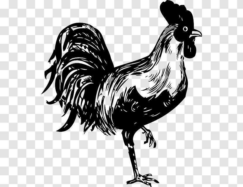 Chicken Rooster Stencil Clip Art - Livestock - Cock Transparent PNG