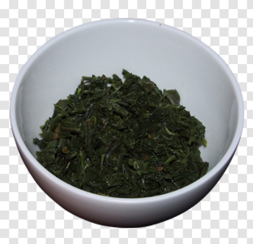 Tea Plant Tieguanyin Nilgiri Bancha - Ceylon - Japan Six China Transparent PNG