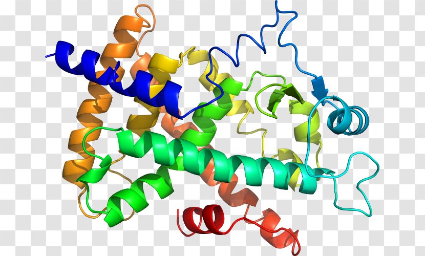 Biology Protein Structure Amino Acid Clip Art - Human Behavior - Peroxisome Proliferatoractivated Receptor Transparent PNG