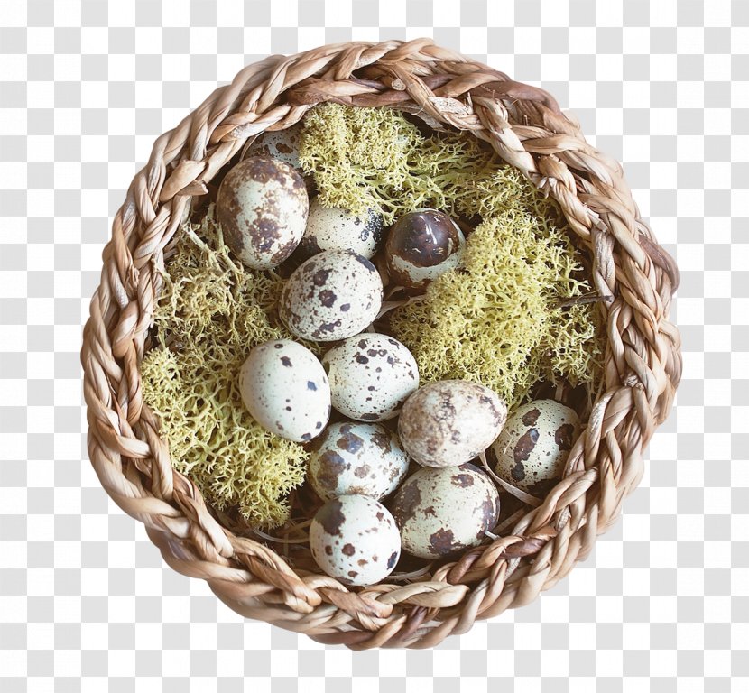 Nest Bird - Quail Eggs Transparent PNG