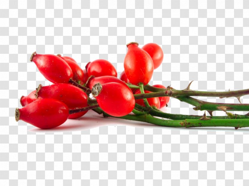 Rose Hip Seed Oil Essential - Bell Peppers And Chili Transparent PNG