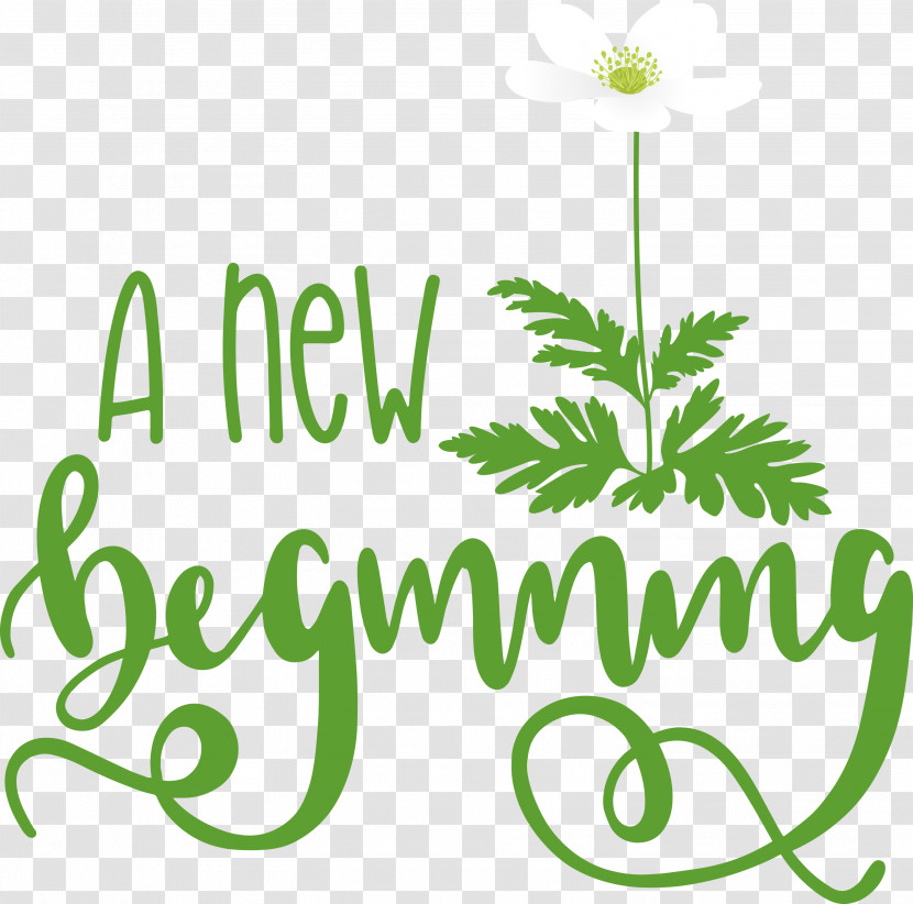 A New Beginning Transparent PNG