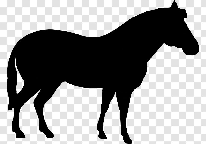 American Quarter Horse Clip Art Vector Graphics Silhouette Stallion - Mare - Drawing Transparent PNG