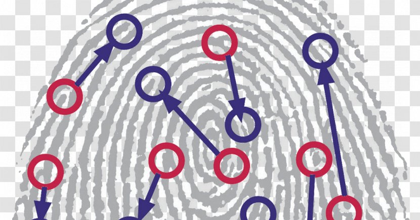 Fingerprint Dermatoglyphics Pattern Recognition Biometrics Technology - Cartoon Transparent PNG