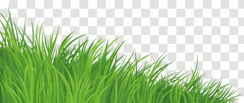 Lawn Clip Art - Photography - Silhouette Grass Transparent PNG