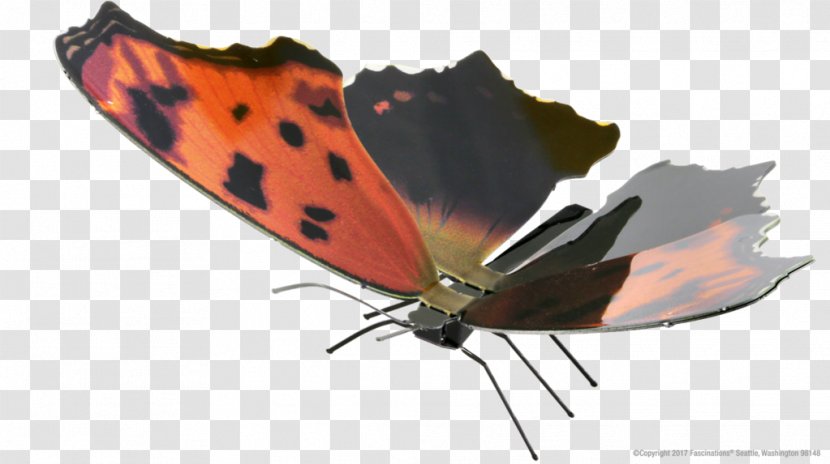 Butterfly Eastern Comma Metal Pipevine Swallowtail Transparent PNG