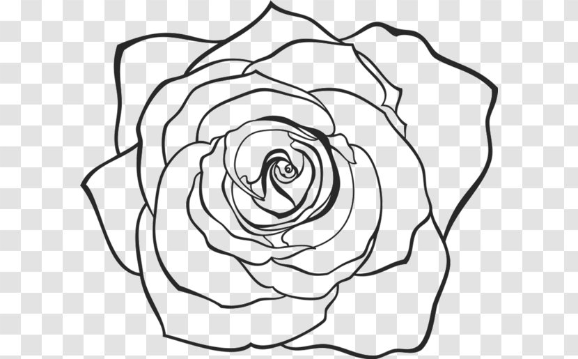 Drawing Clip Art Vector Graphics Image - Botany - Flower Transparent PNG