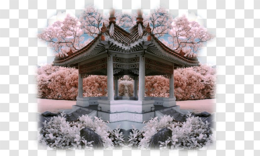 Blog Desktop Wallpaper Photography Friendship - Tag - Asian Landscape Transparent PNG