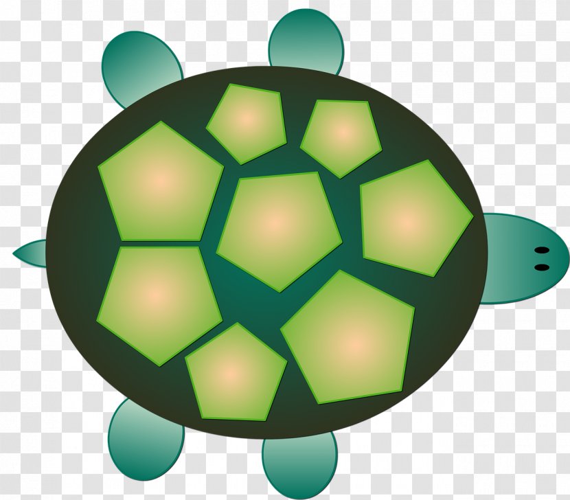 Tortoise Sea Turtle Reptile Clip Art - Green Transparent PNG