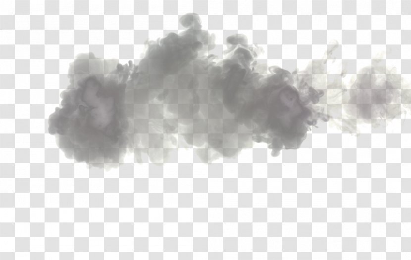 Ink China Haze Cloud - Flower Transparent PNG